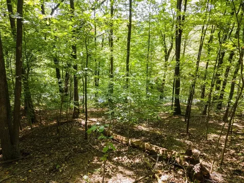 2311 Blue Branch Road Lynnville TN 38472