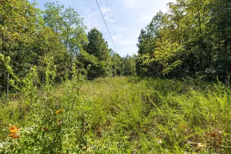 2311 Blue Branch Road Lynnville TN 38472