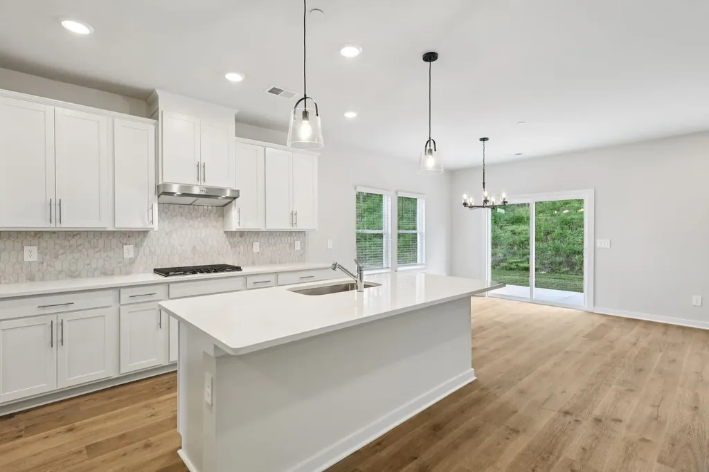 323 Zen Court Smyrna TN 37167