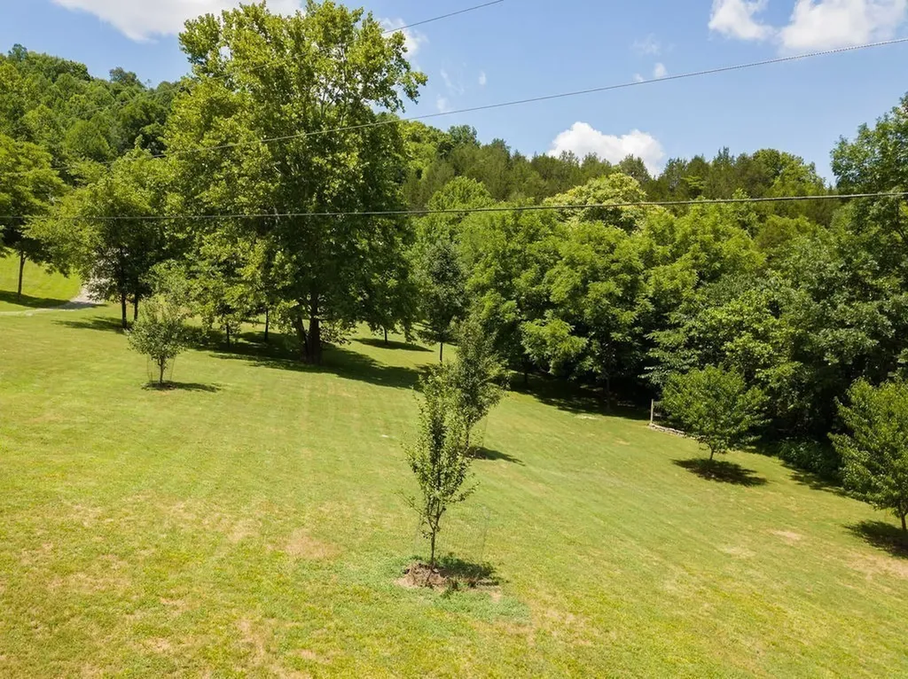 59 Russell Lane Pleasant Shade TN 37145