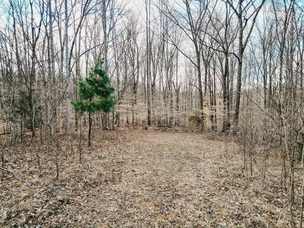0 Parker Branch & Mt Laura Lane Franklin TN 37064