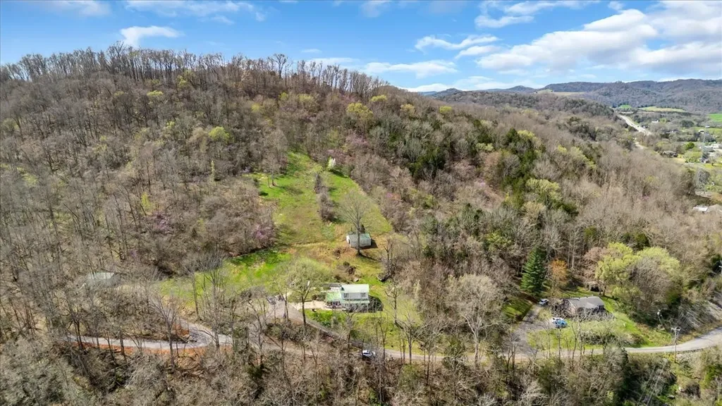 394 Lou Drive Dowelltown TN 37059