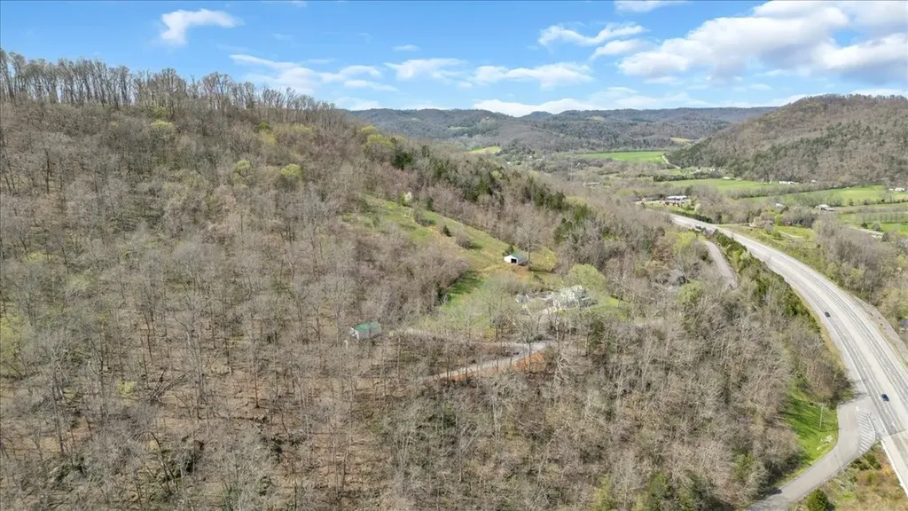 394 Lou Drive Dowelltown TN 37059
