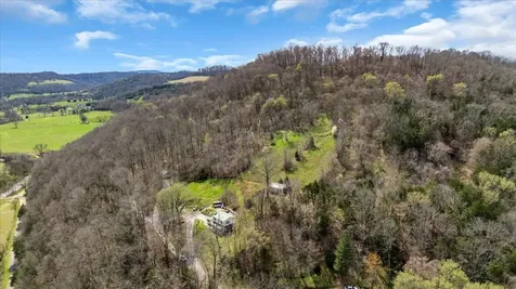 394 Lou Drive Dowelltown TN 37059