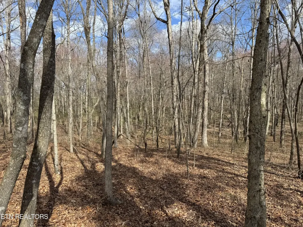 1261 Roanoke Road Jamestown TN 38556