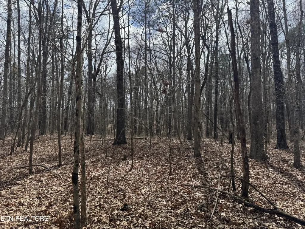 1261 Roanoke Road Jamestown TN 38556