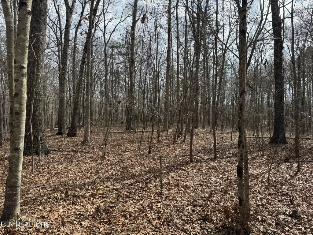 1261 Roanoke Road Jamestown TN 38556