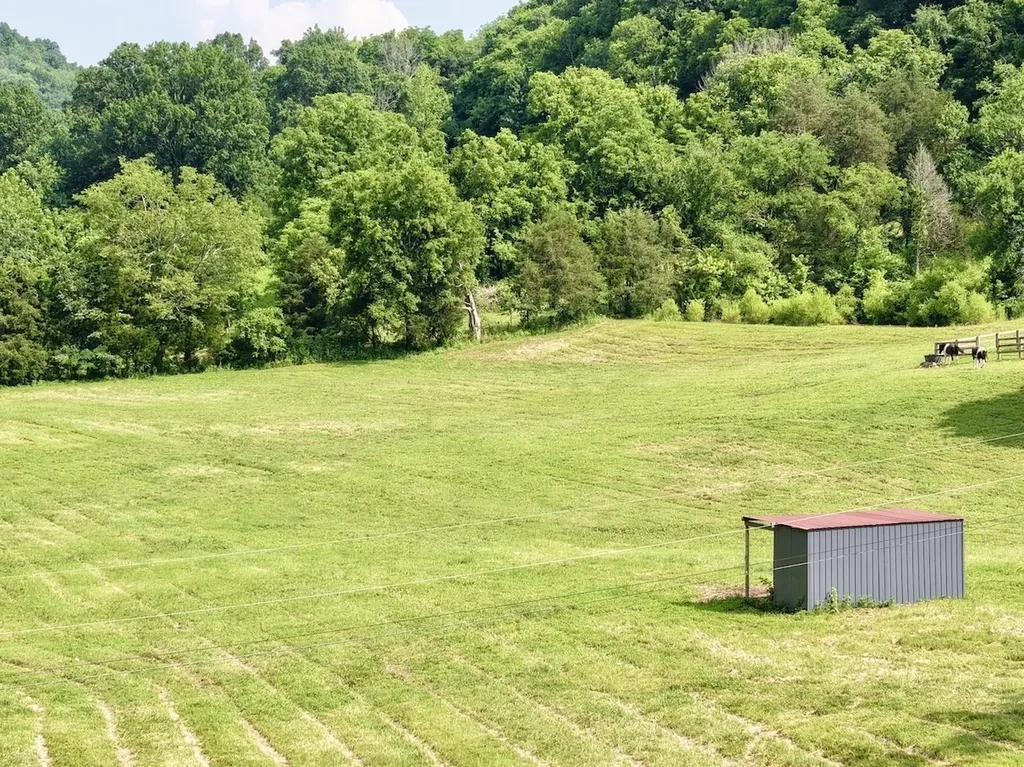 161 Fowler Road Woodbury TN 37190