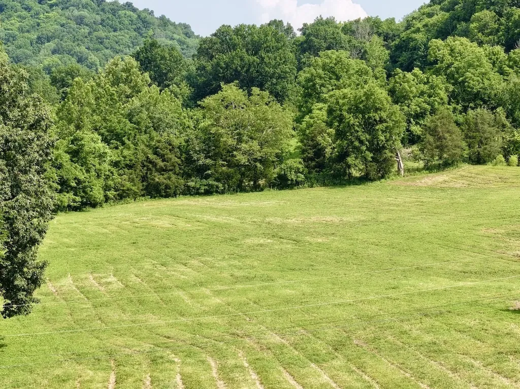 161 Fowler Road Woodbury TN 37190