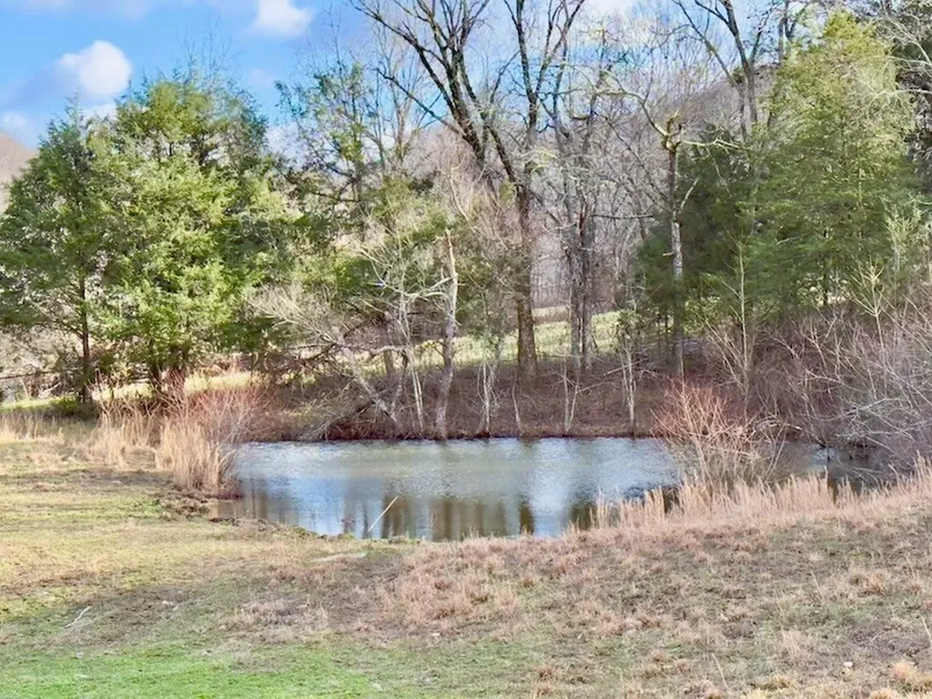 161 Fowler Road Woodbury TN 37190