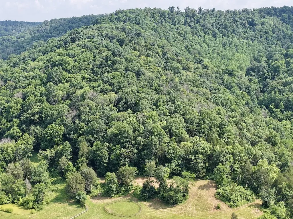 161 Fowler Road Woodbury TN 37190