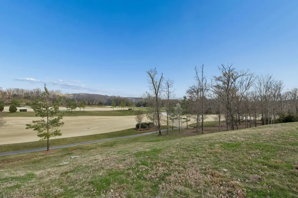 7085 Lanceleaf Drive College Grove TN 37046