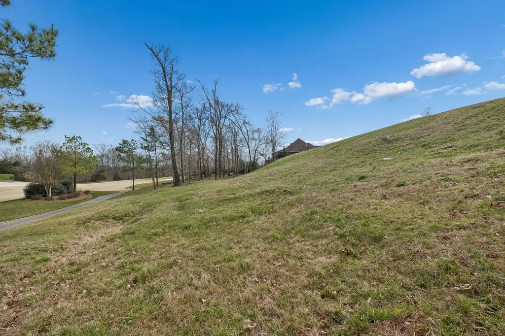 7085 Lanceleaf Drive College Grove TN 37046