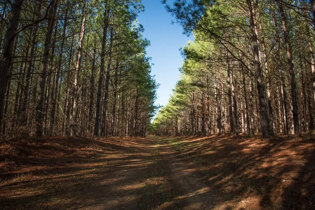 0 Mayfield Divide Road Centerville TN 37033