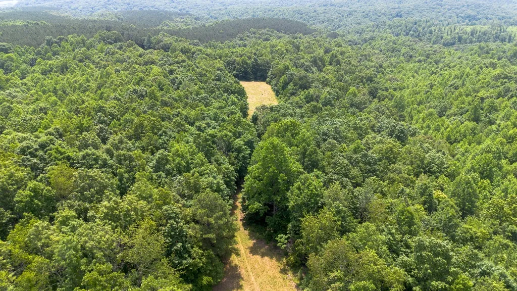 0 Mayfield Divide Road Centerville TN 37033