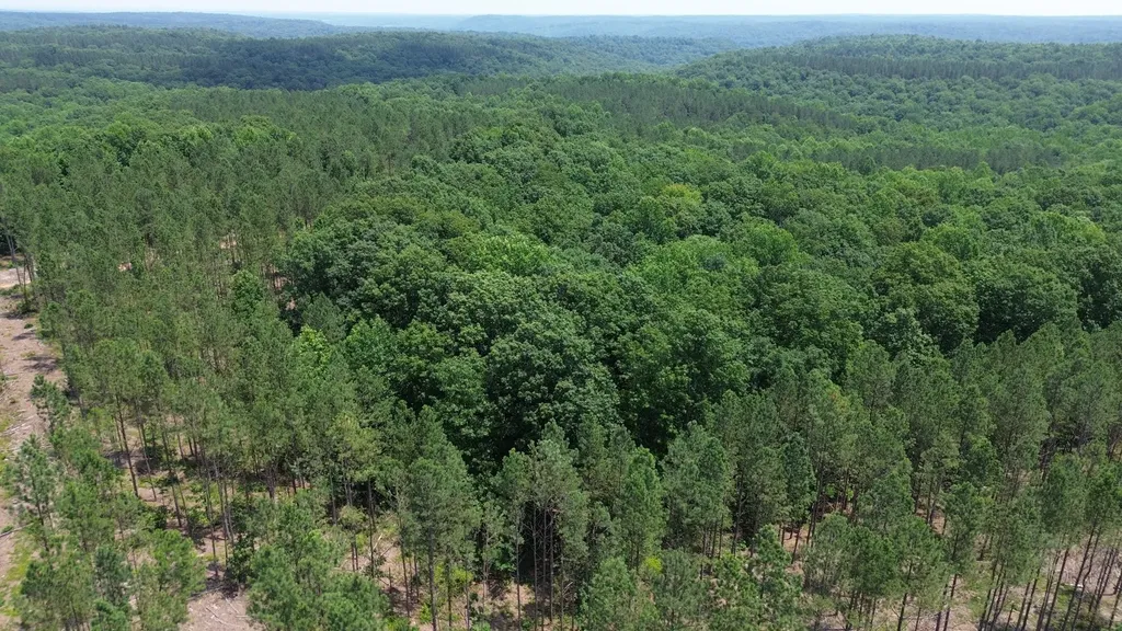 0 Mayfield Divide Road Centerville TN 37033
