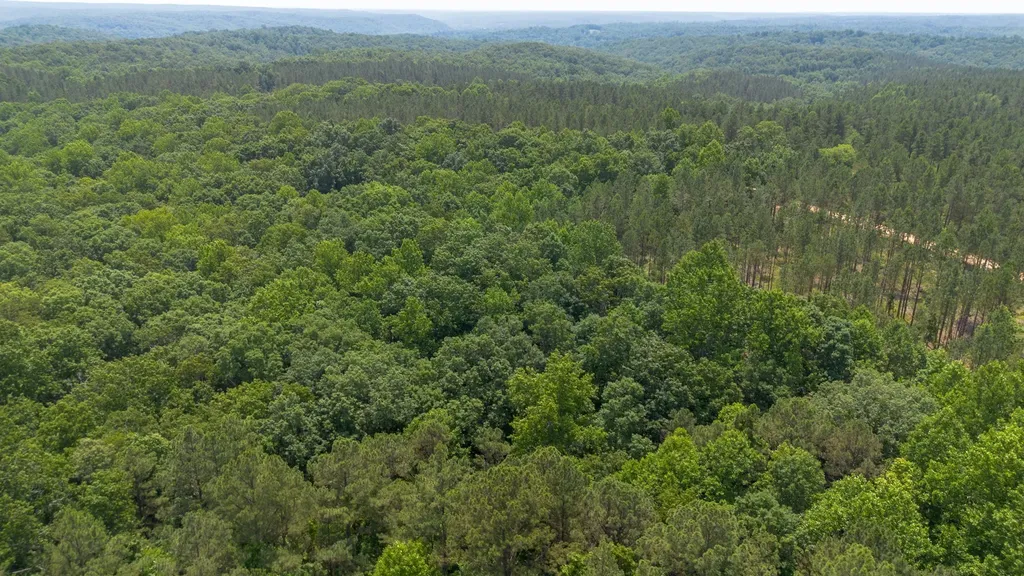 0 Mayfield Divide Road Centerville TN 37033