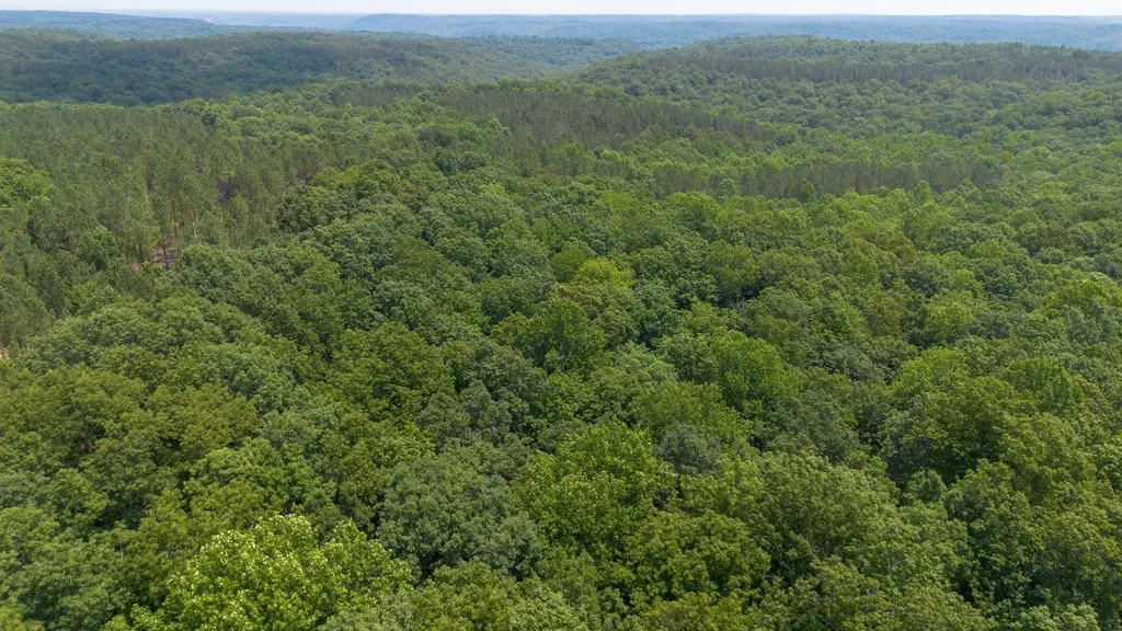 0 Mayfield Divide Road Centerville TN 37033