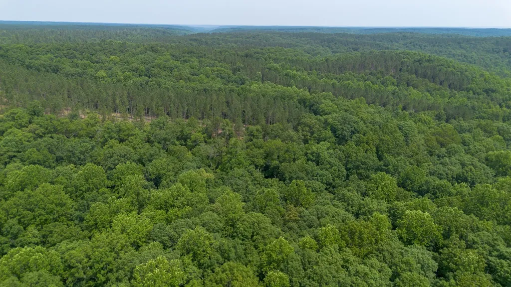 0 Mayfield Divide Road Centerville TN 37033