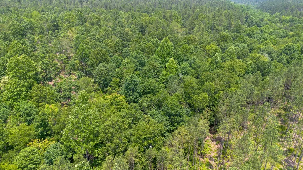 0 Mayfield Divide Road Centerville TN 37033
