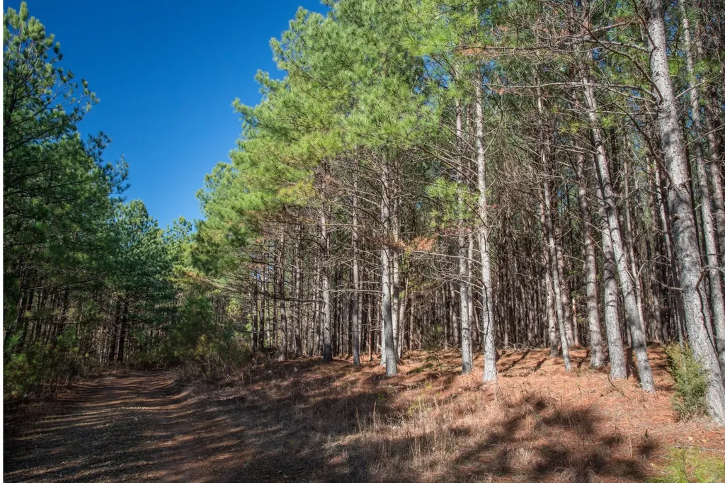 0 Mayfield Divide Road Centerville TN 37033