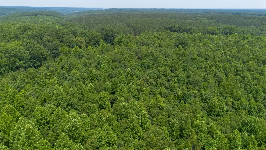 0 Mayfield Divide Road Centerville TN 37033
