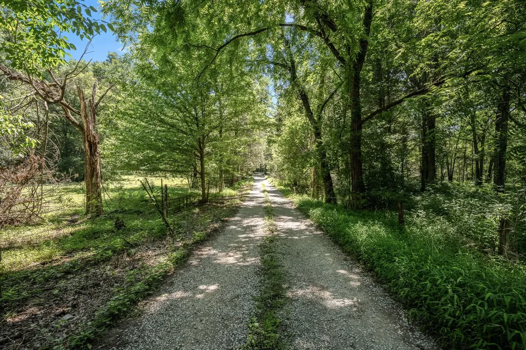 505 Philippi Road Wartrace TN 37183