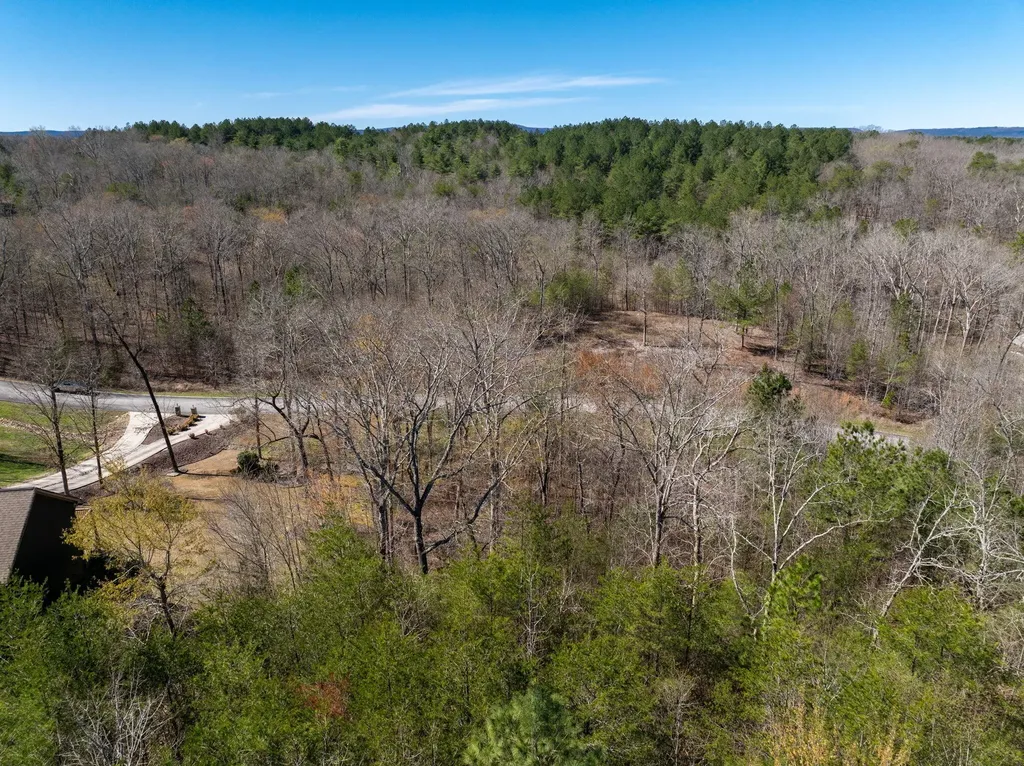 15732 Channel Point Drive Sale Creek TN 37373