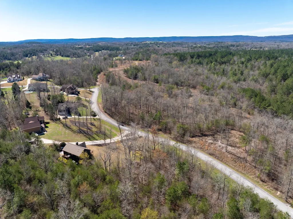 15732 Channel Point Drive Sale Creek TN 37373