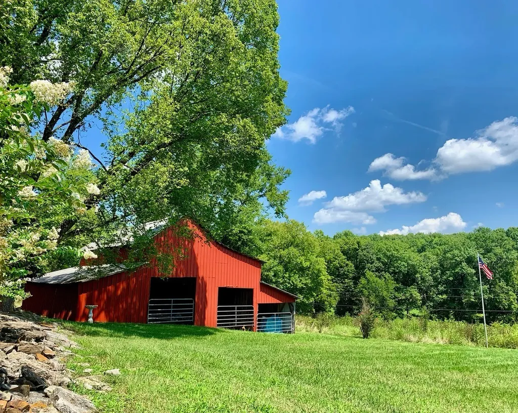 12112 Paw Paw Springs Road Arrington TN 37014