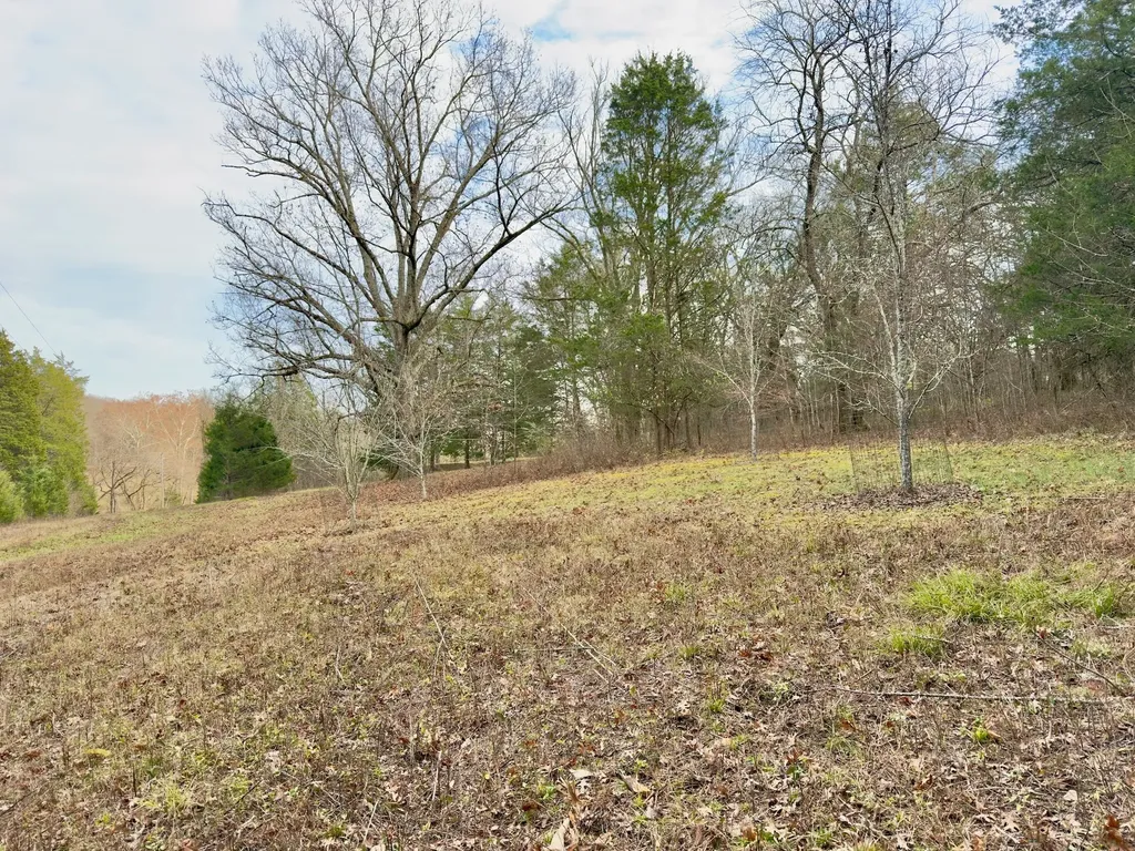 12112 Paw Paw Springs Road Arrington TN 37014