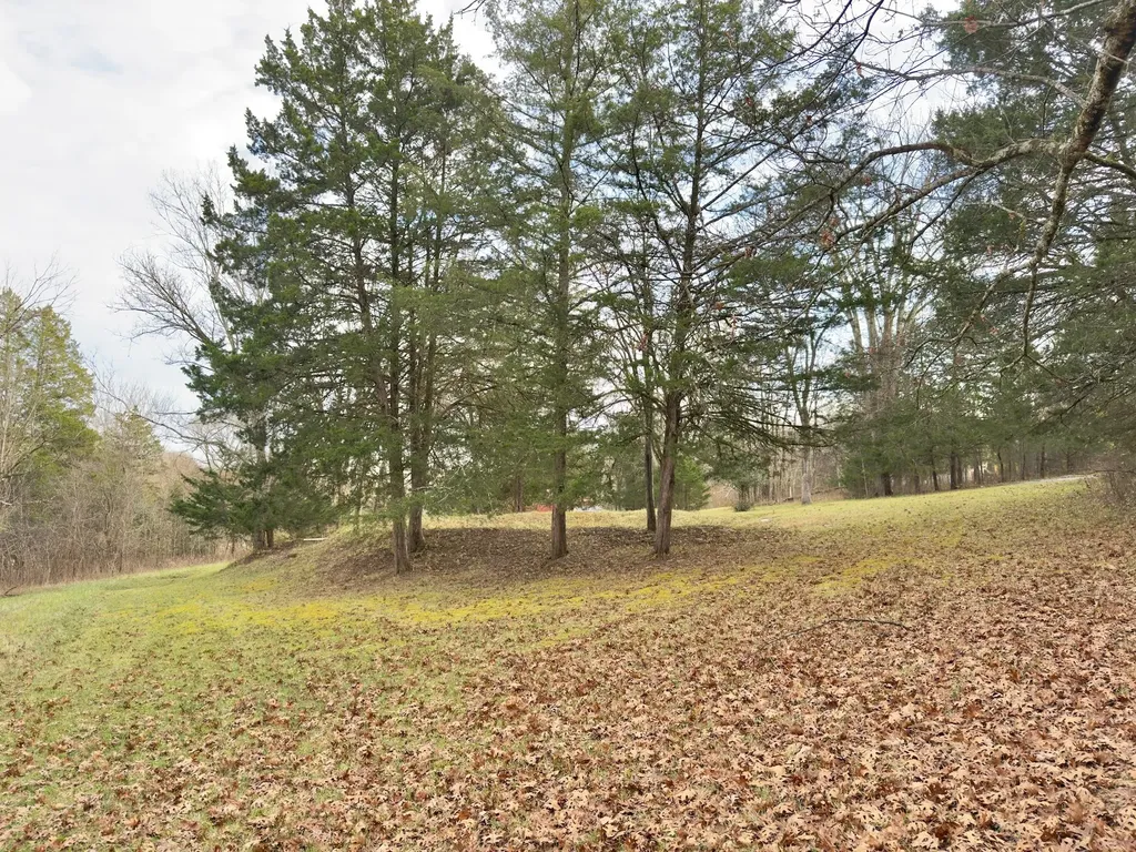 12112 Paw Paw Springs Road Arrington TN 37014