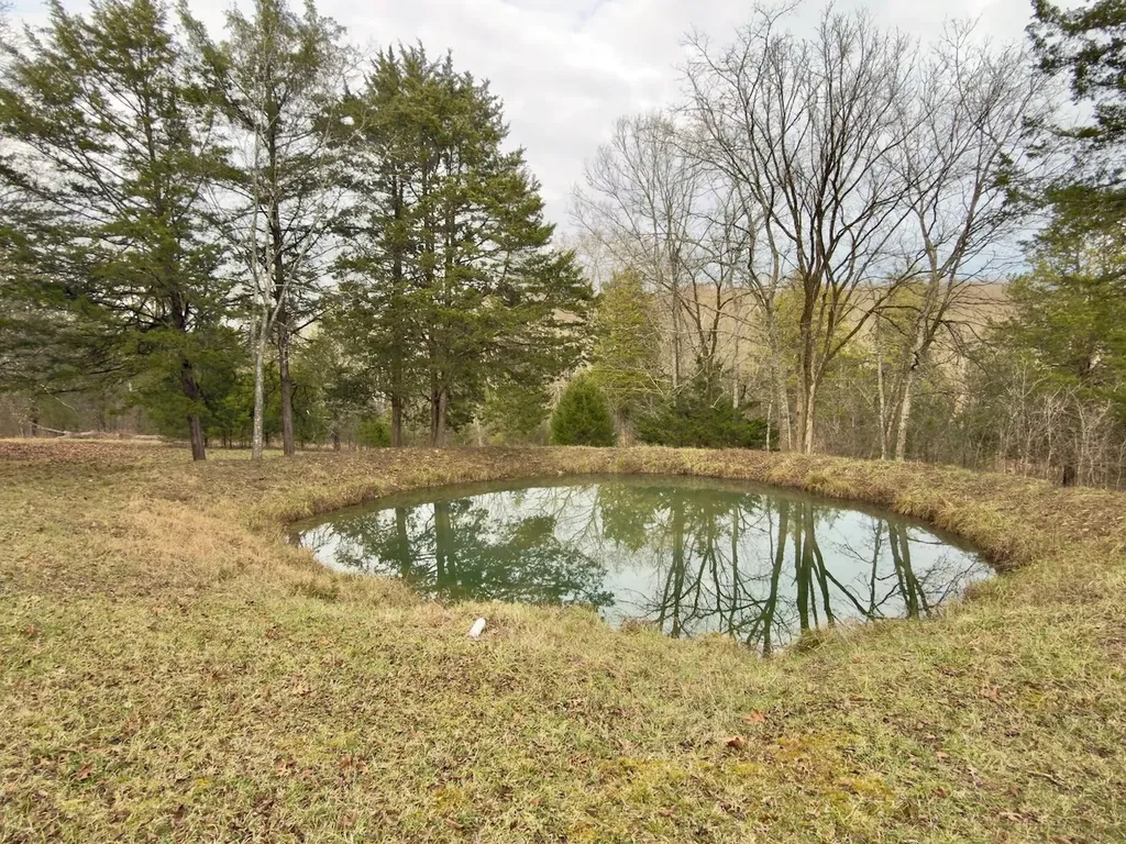 12112 Paw Paw Springs Road Arrington TN 37014