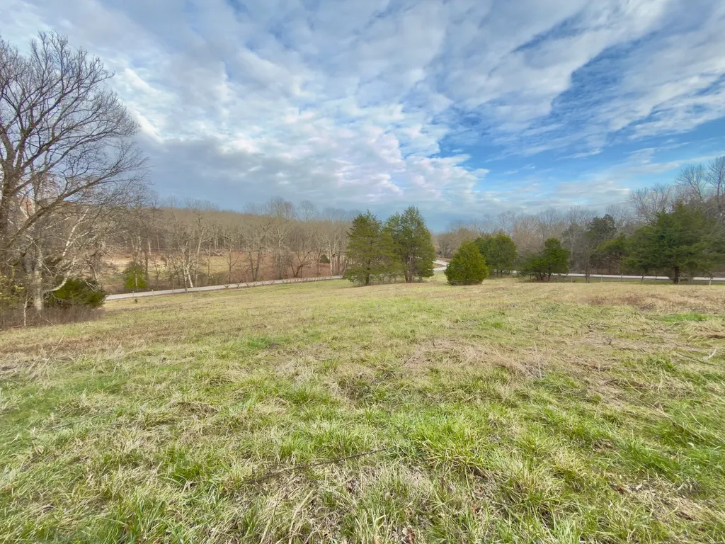 12112 Paw Paw Springs Road Arrington TN 37014
