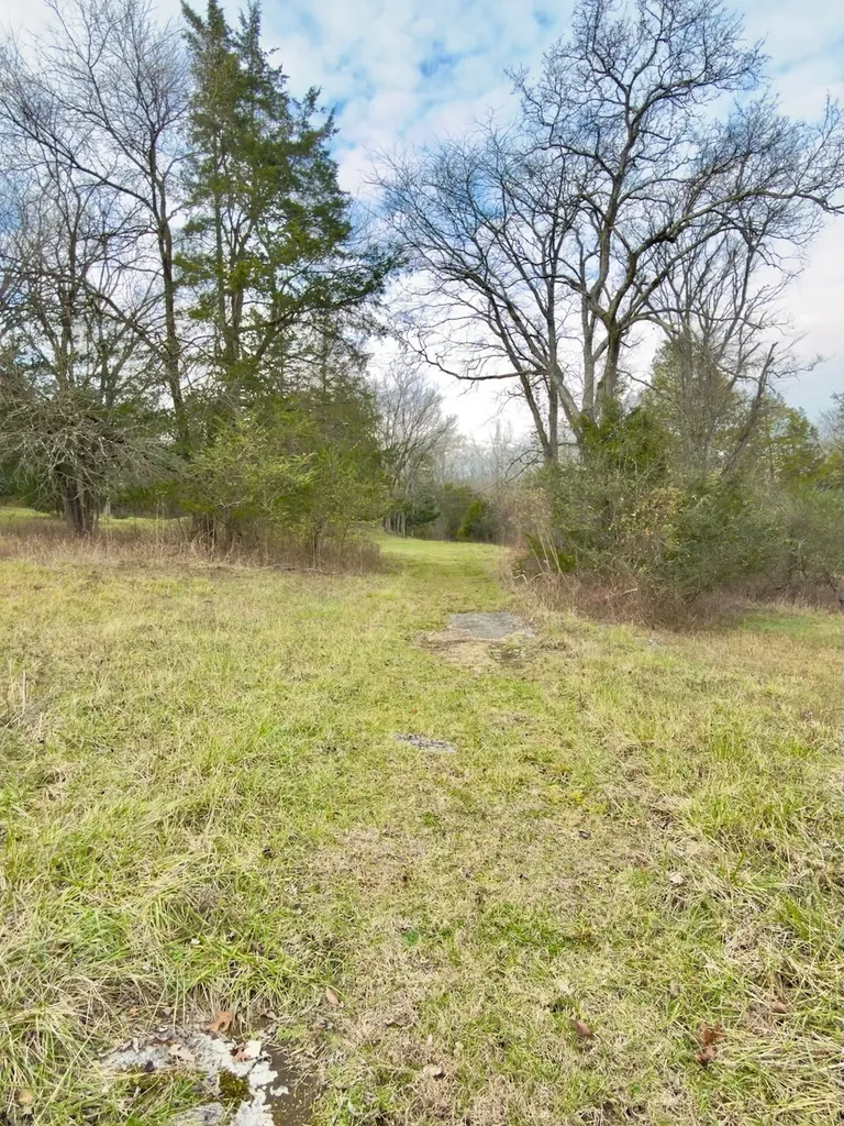 12112 Paw Paw Springs Road Arrington TN 37014