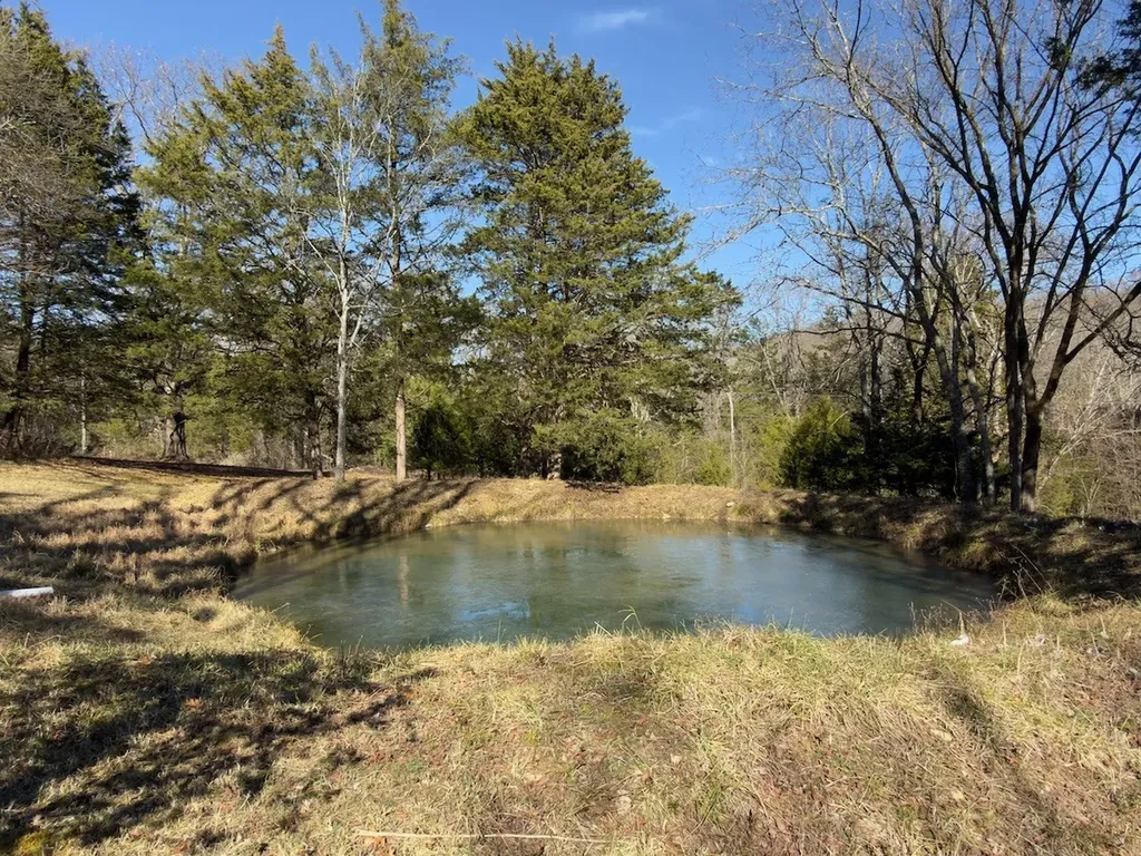 12112 Paw Paw Springs Road Arrington TN 37014