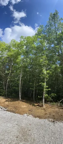 72 Lady Slipper Lane Monteagle TN 37356