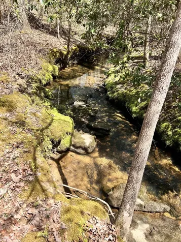 72 Lady Slipper Lane Monteagle TN 37356