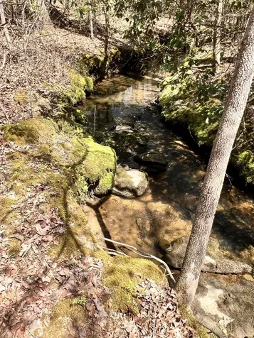 72 Lady Slipper Lane Monteagle TN 37356