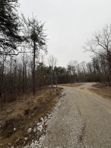 72 Lady Slipper Lane Monteagle TN 37356