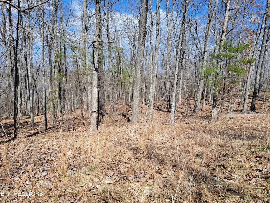 349 Rotherham Drive Crossville TN 38558
