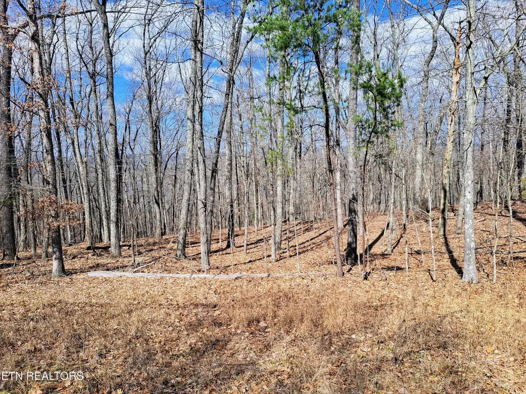 349 Rotherham Drive Crossville TN 38558