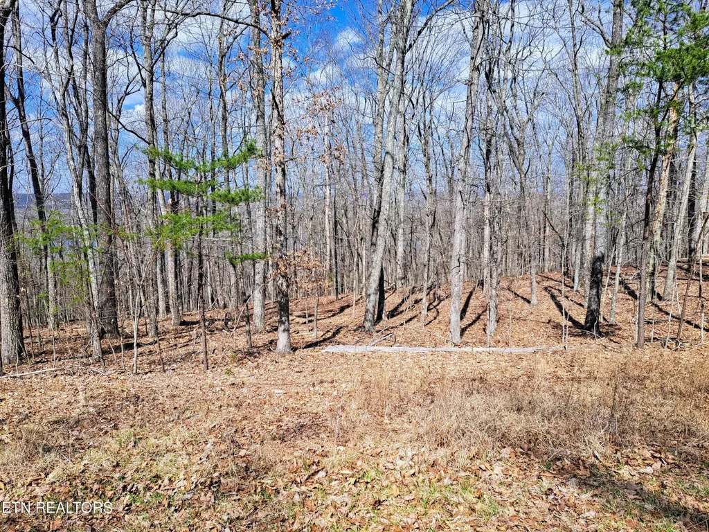349 Rotherham Drive Crossville TN 38558