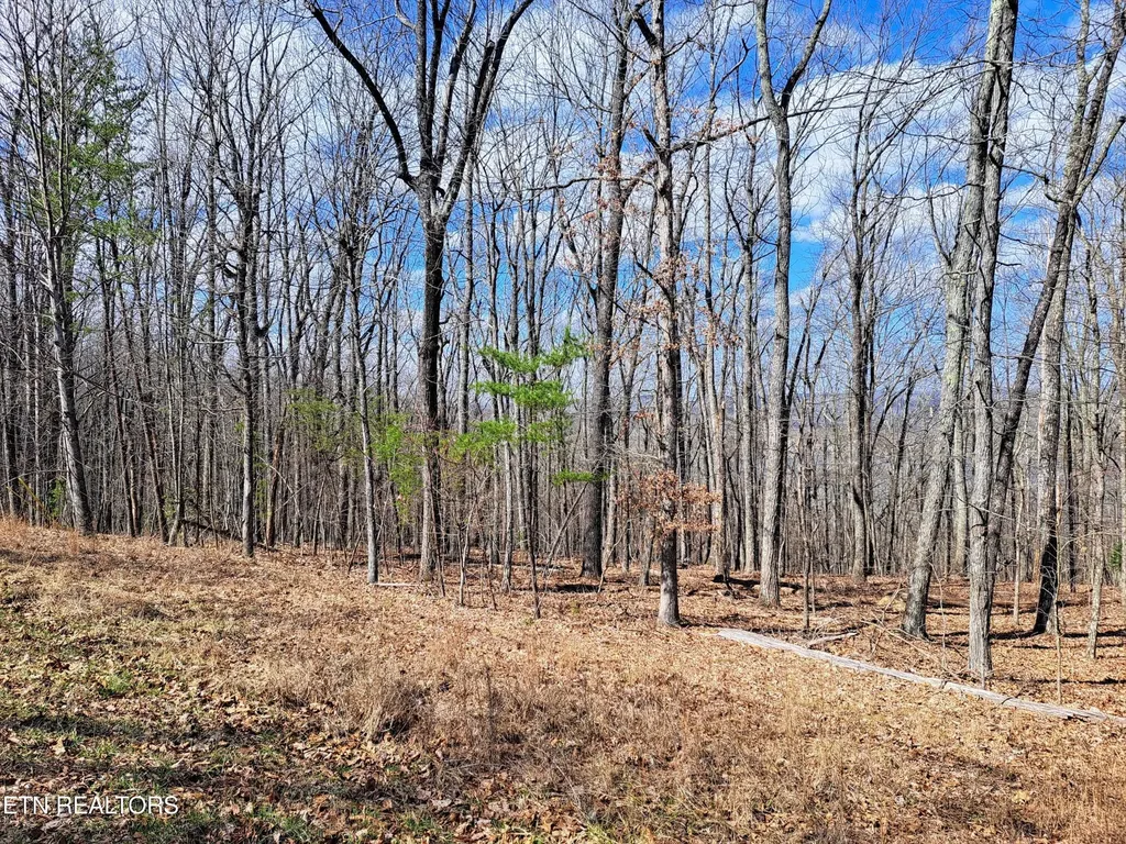 349 Rotherham Drive Crossville TN 38558
