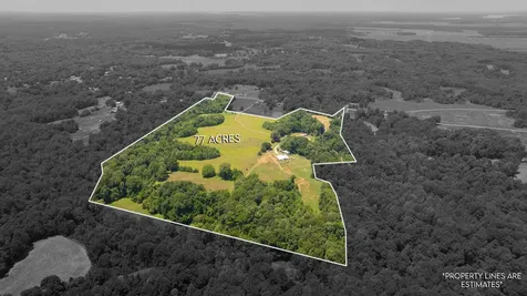 710 Porters Gap Road Ripley TN 38063