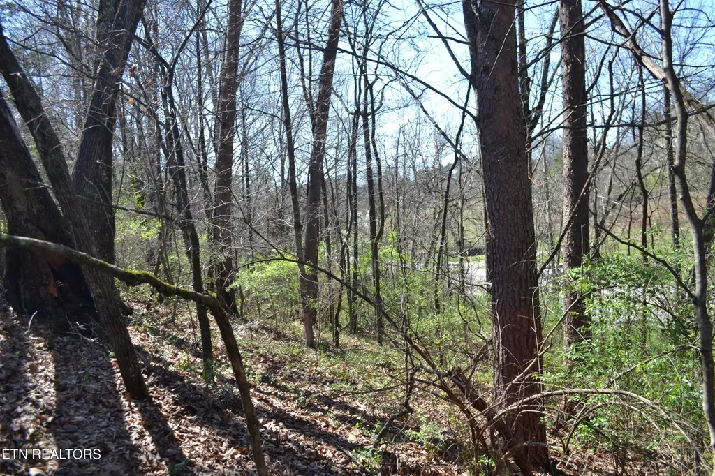 3024 Us-411 Maryville TN 37801