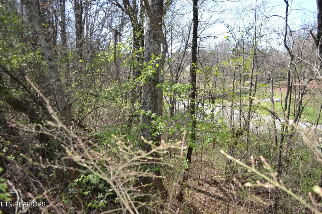 3024 Us-411 Maryville TN 37801