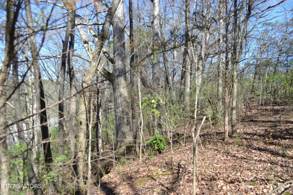 3024 Us-411 Maryville TN 37801