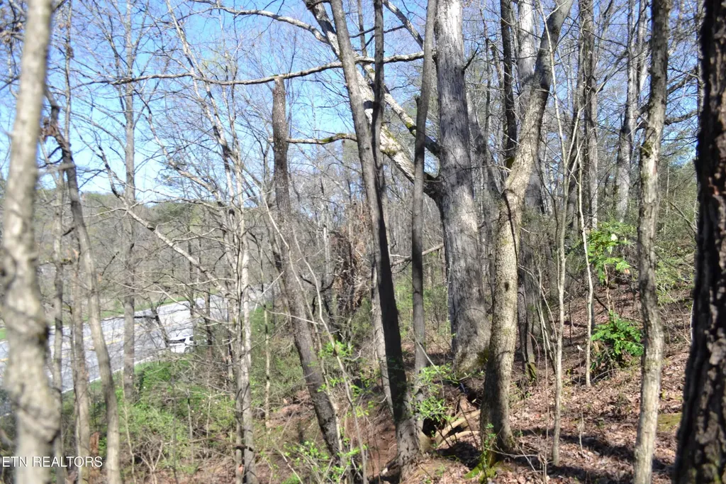 3024 Us-411 Maryville TN 37801
