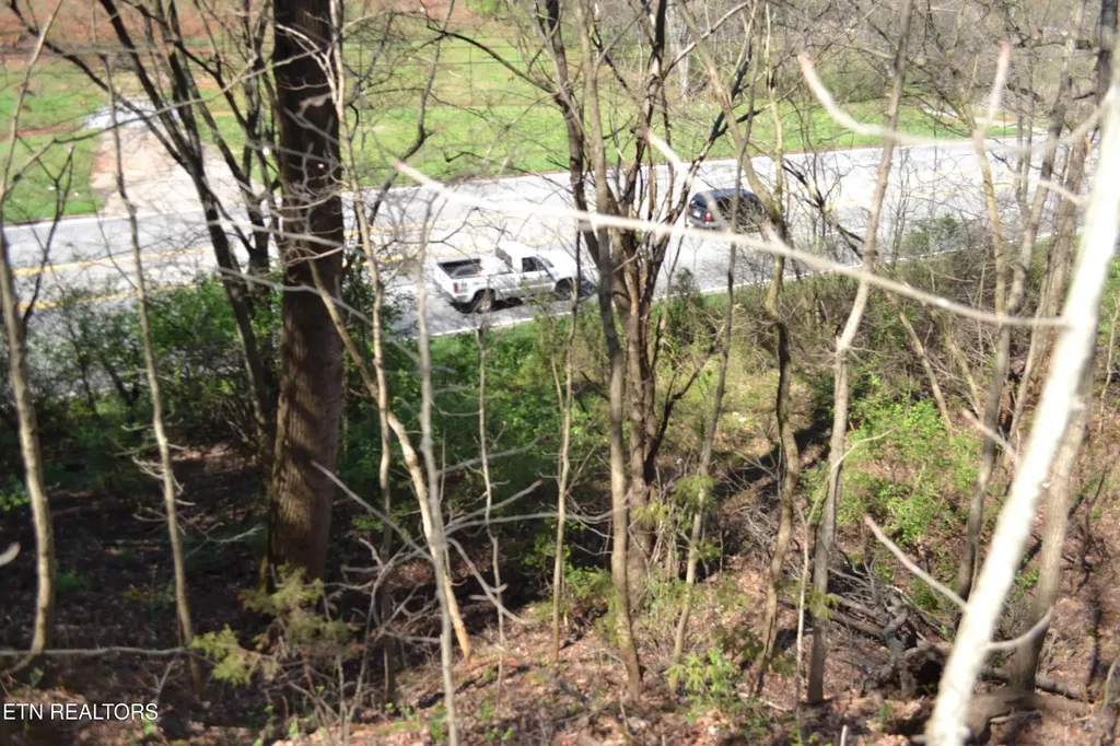 3024 Us-411 Maryville TN 37801